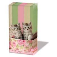 Vreckovky CATS IN BOX, Ambiente