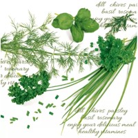 Green Herbs, Nouveau