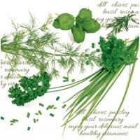 servítky Green Herbs, Nouveau