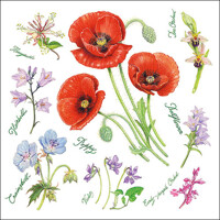 POPPY HARMONY, Ambiente