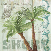  PALM TREES, Ambiente
