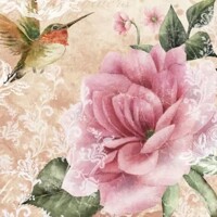  HUMMINGBIRD beige, TF