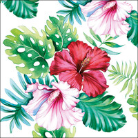 HIBISCUS FLORAL white