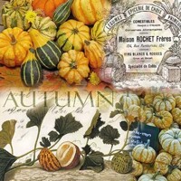 AUTUMN PUMPKINS, Ambiente