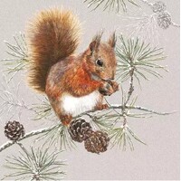 SQUIRREL IN WINTER, Ambiente