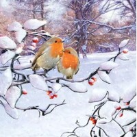  ROBINS ON BRANCH, Ambiente