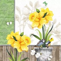 SUNNY SPRING, Ambiente