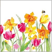 AQUARELL SPRINGFLOWERS, Ambiente