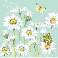 DAISY green, Ambiente