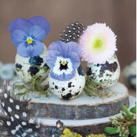  FLOWER IN EGGS, Ambiente