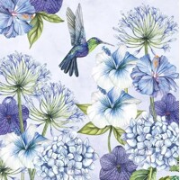 HUMMINGBIRD, Ambiente