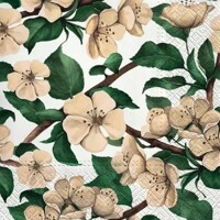 APPLE BLOSSOM, Paw