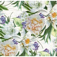  ROMANCE green, Paw
