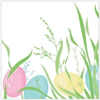 OSTERN 40x40 Linclass, Mank