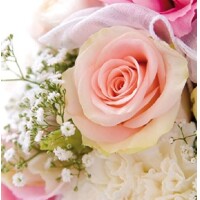 Servítky ROSE ROMANCE, Ambiente