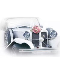 WEDDING CAR, Ambiente