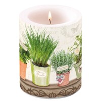 LE JARDIN DE PROVENCE , Ambiente