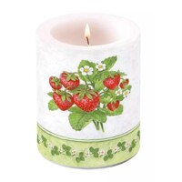 SEASON FRUIT, Ambiente