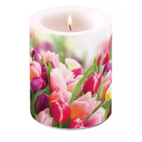 GLORIOUS TULIPS, Ambiente