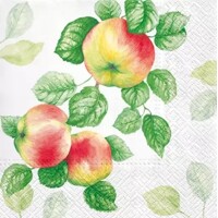 GARDEN APPLE, Paw