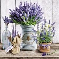  LAVENDER IN BUCKET, Paw