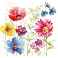 AQUARELL MEADOW, Ambiente