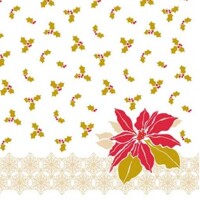  ANJA  40x40 Linclass,  Mank