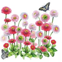 BELLIS, Ambiente