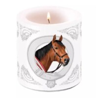 CLASSIC HORSE, Ambiente