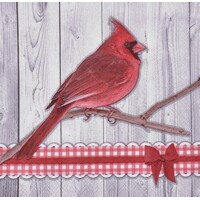 CARDINAL, Ambiente