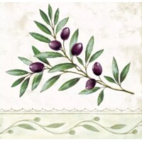 OLIVE BRANCH, Ambiente
