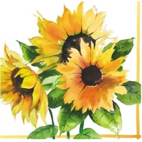 GIRASOLI, Ambiente