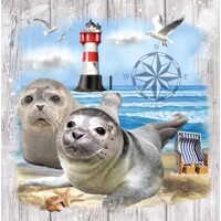 SEAL COUPLE, Ambiente