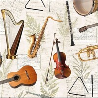  MUSIC, Ambiente
