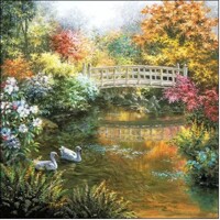 WHITE SWANS, Ambiente