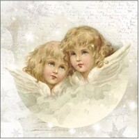  ANGELS, Ambiente