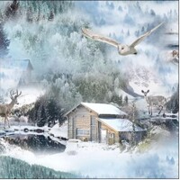 FLYNG OWL, Ambiente