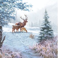 DEER FAMILY, Ambiente