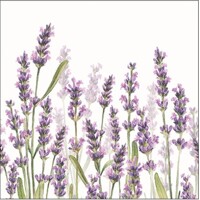 LAVENDER SHADES white, Ambiente