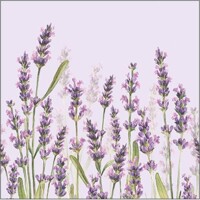 LAVENDER SHADES lila, Ambiente