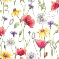 POPPY MEADOW, Ambiente