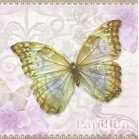 PAPILLON, Ambiente