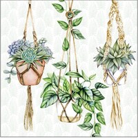 HANGING PLANTS, Ambiente