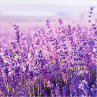  FIELD OF LAVENDER, Home Fashion