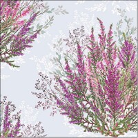 CALLUNA, Ambiente