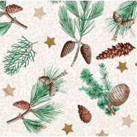 PINEA 40x40 Linclass, Mank