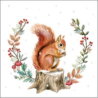 STORING FOR WINTER, Ambiente