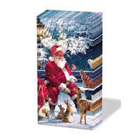 SANTA ON BENCH, Ambiente