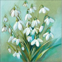 SNOWDROPS IN WINTER, Ambiente