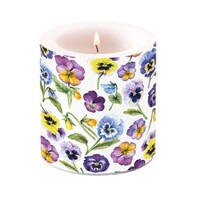  PANSY ALL OVER,  Ambiente